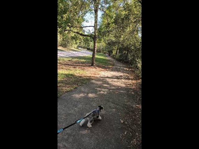 Build a Business That Supports Your Lifestyle