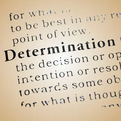 Legacynk-Determination