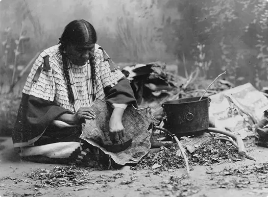 Woman from the Fort Sill Apache Tribe crafting traditional materials, surrounded by natural elements and a pot, reflecting cultural heritage and resilience.