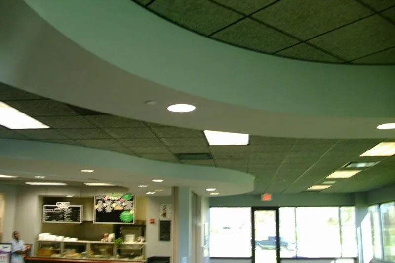 Residential Acoustical Ceiling Tile Installation Company