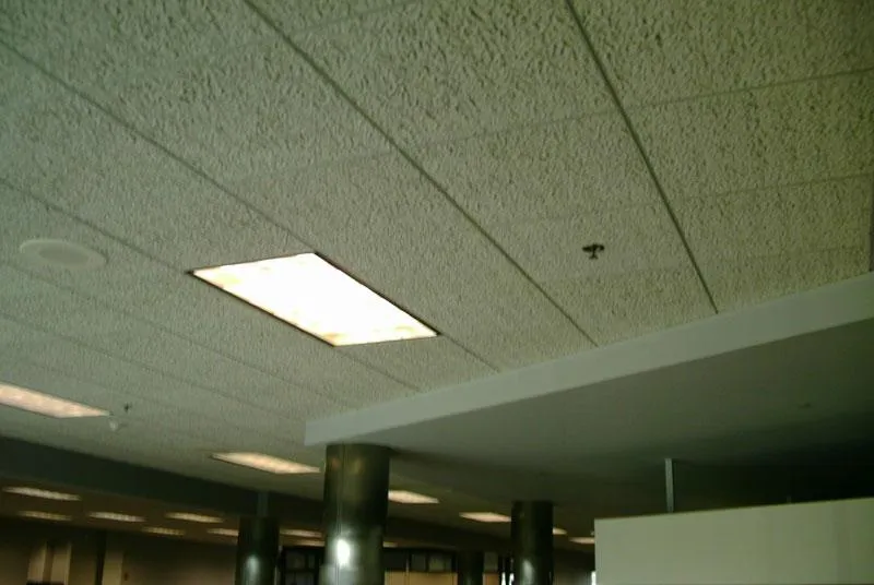 Residential Acoustical Ceiling Tile Installation Company