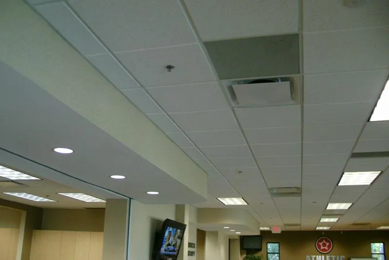 Residential Acoustical Ceiling Tile Installation Company