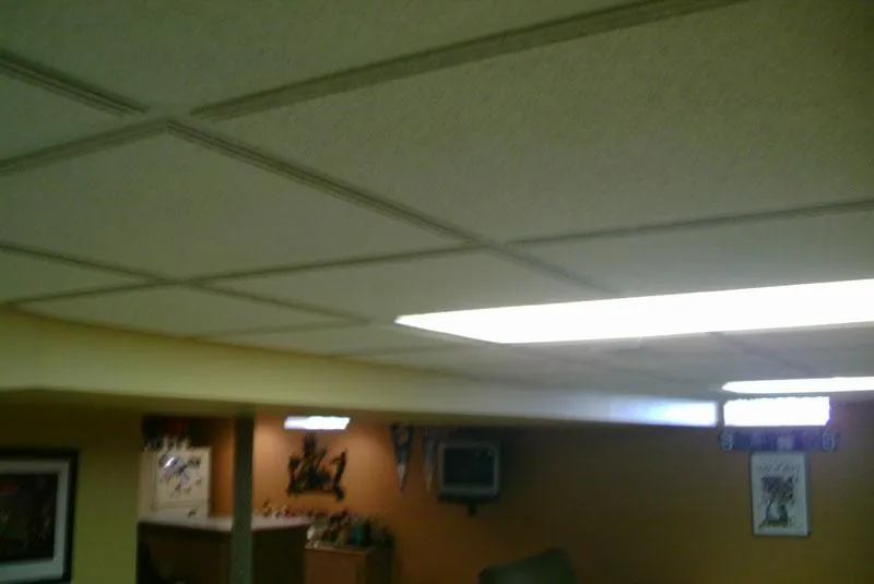 Residential Acoustical Ceiling Tile Installation Company