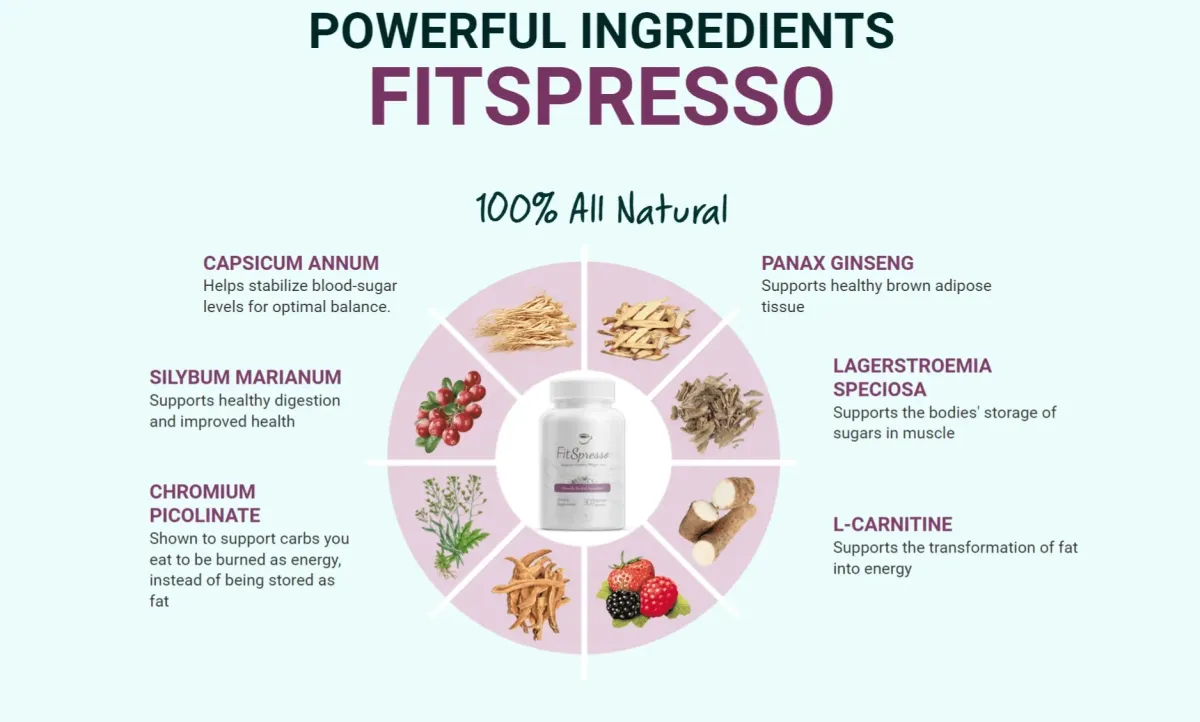 fitspresso Ingredients