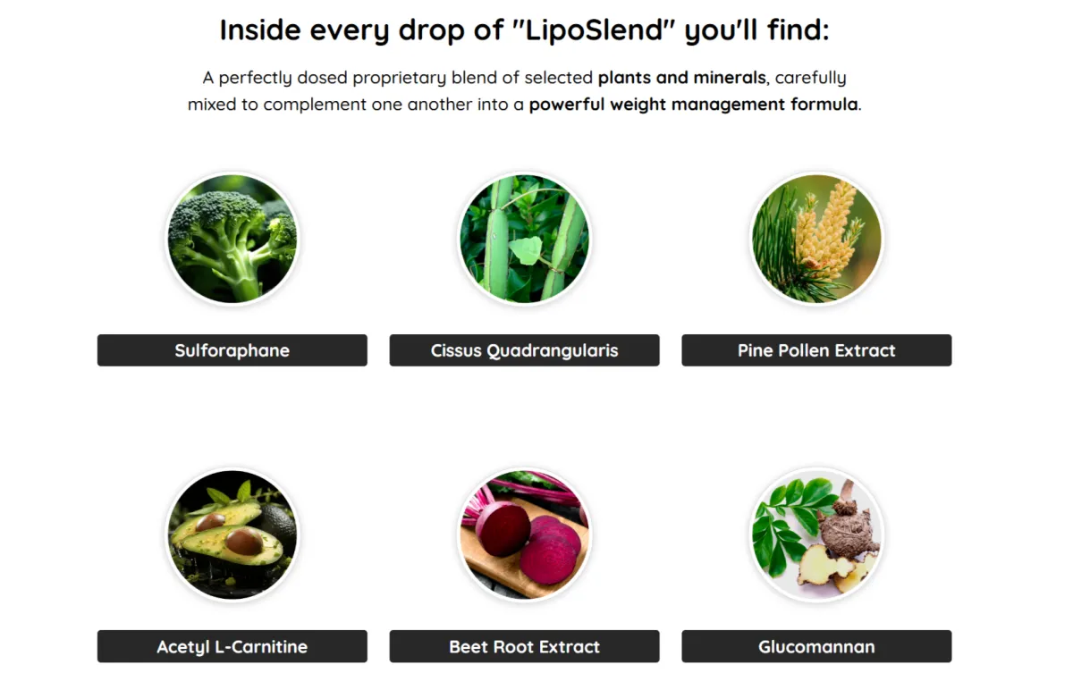 liposlend Ingredients