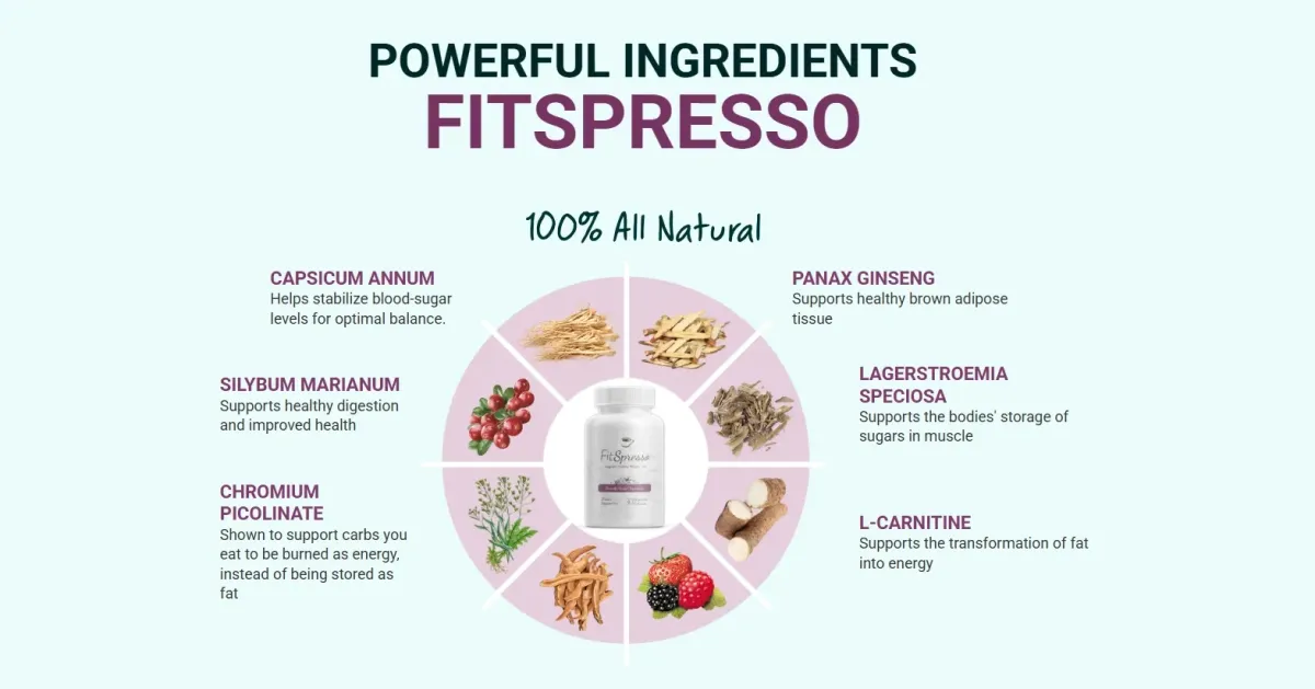 Fitspresso ingredients