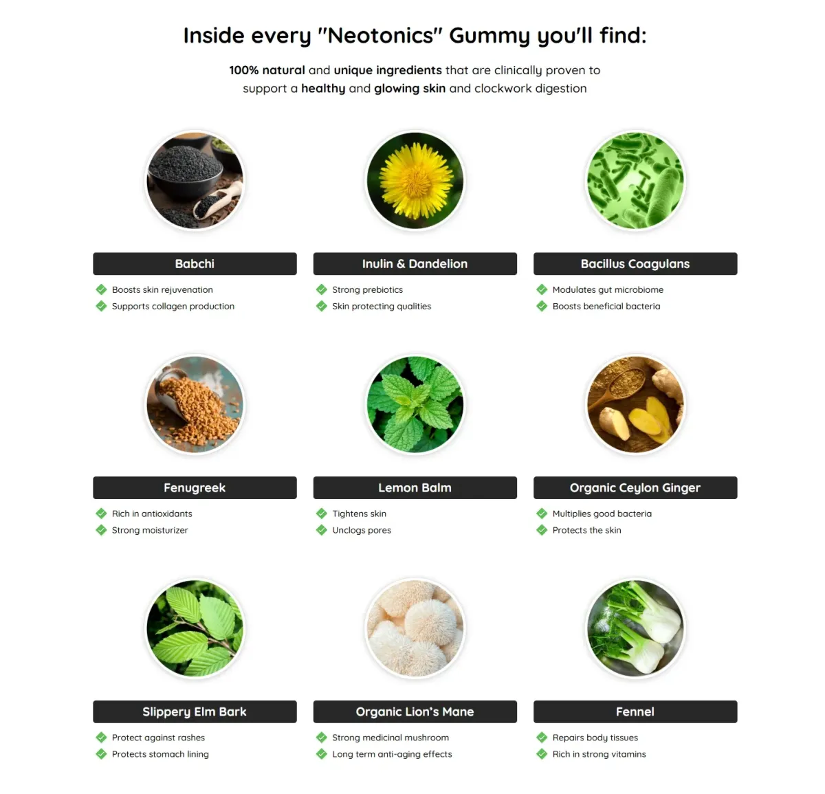 ingredients