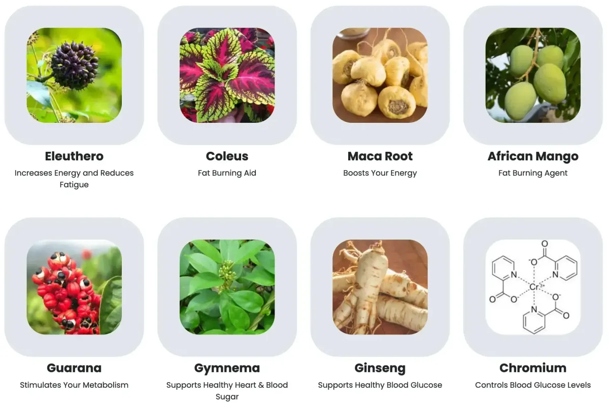 sugar defender  Ingredients