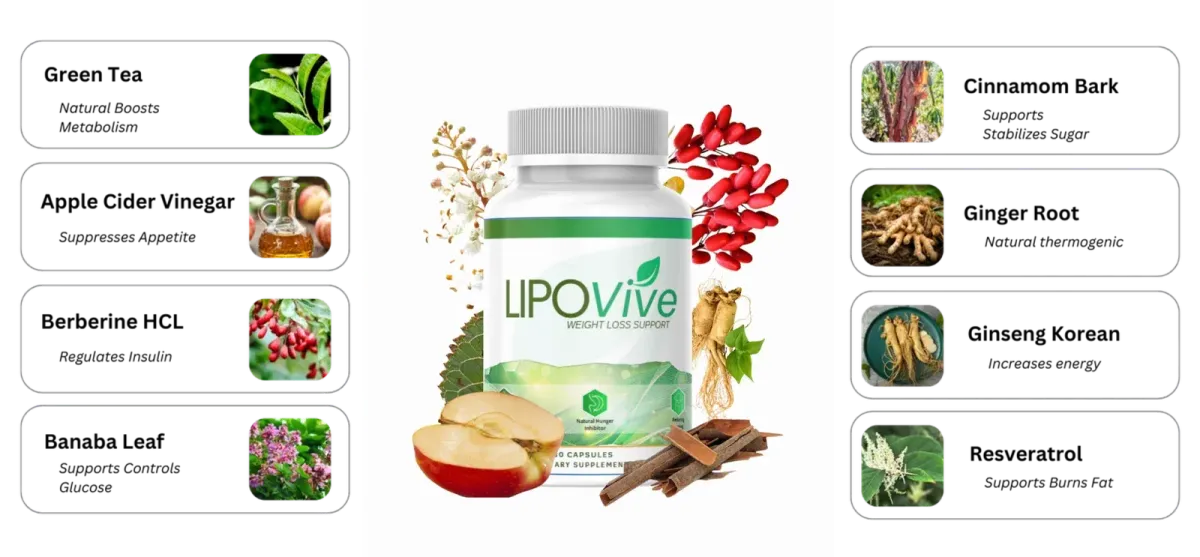 lipovive ingredients