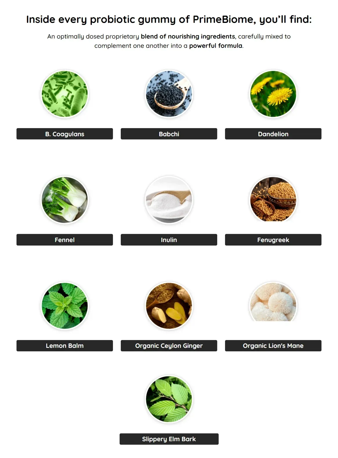 Ingredients Primebiome