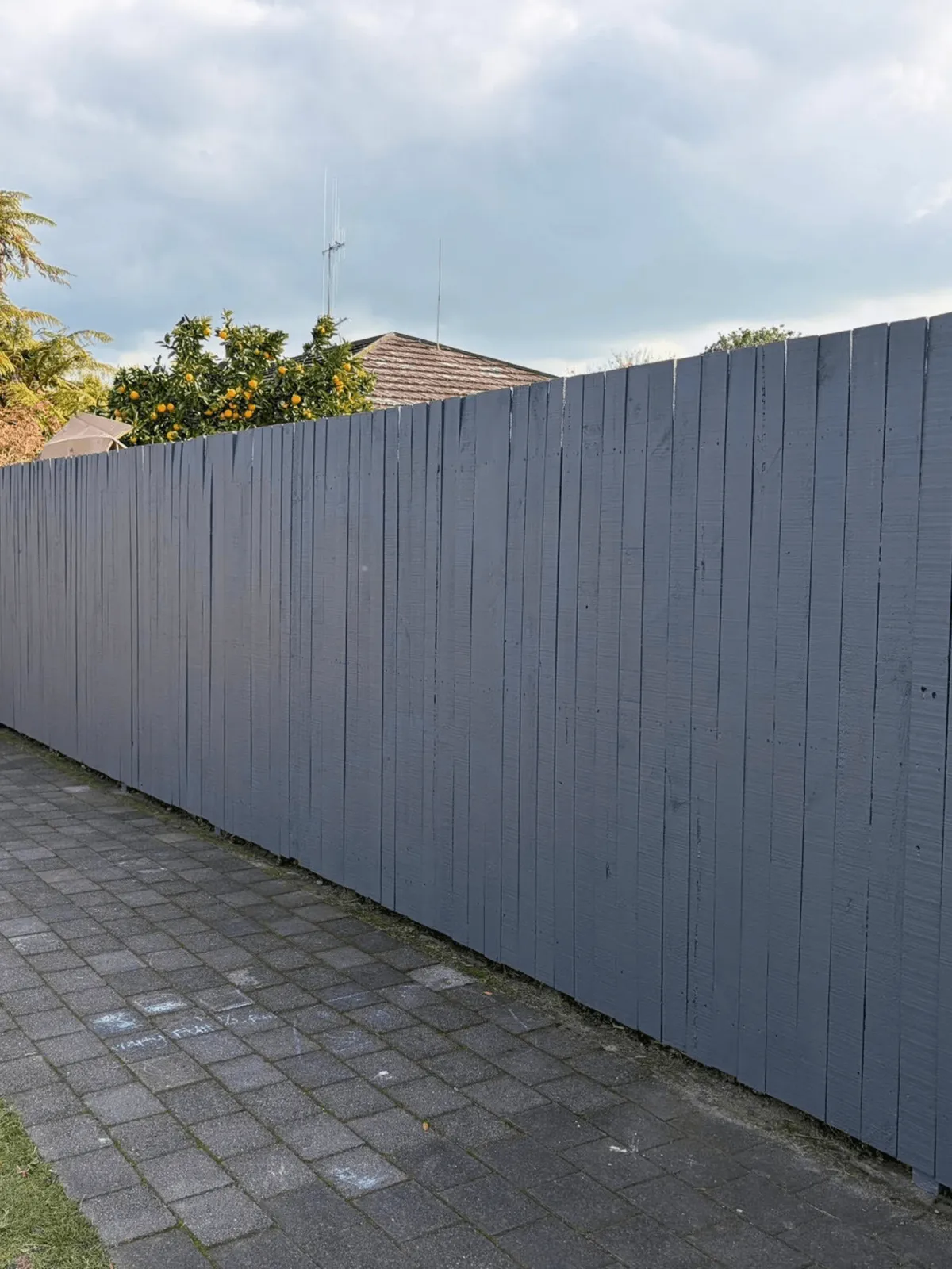 Fence painting and outdoor timber restoration project in Hamilton