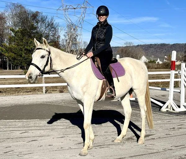 Nahanni Johnstone riding Worth a Shot at STARS Sporthorses in Ooltewah, TN