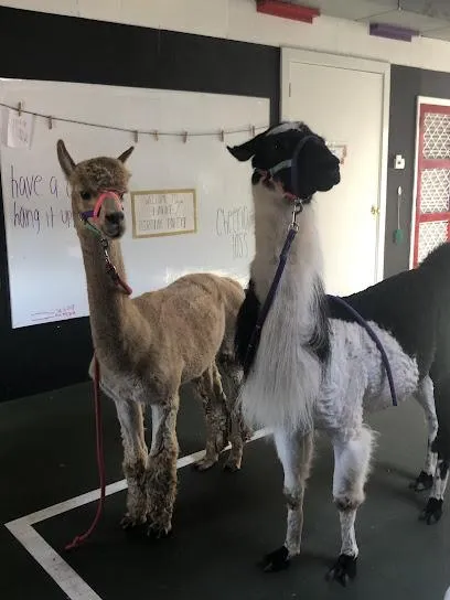 Residential Construction Cloverdale