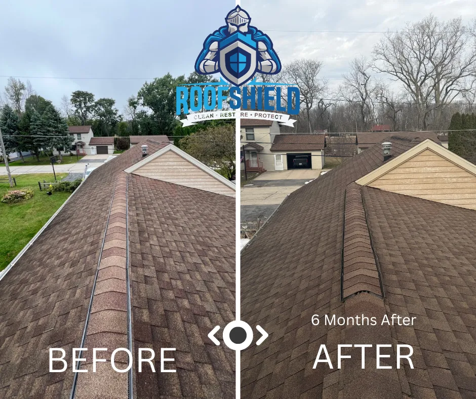 Before roof rejuvenation treatment