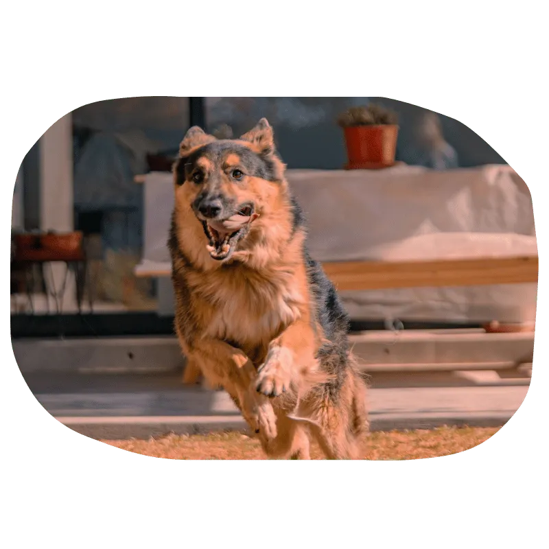 mature couple examining paper work related to medicare
