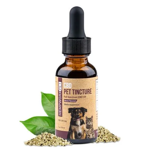 Bottle of CBD Pet Tincture with images of a dog and a cat on the label, placed next to hemp seeds and leaves.