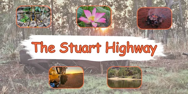 The Stuart Highway Series