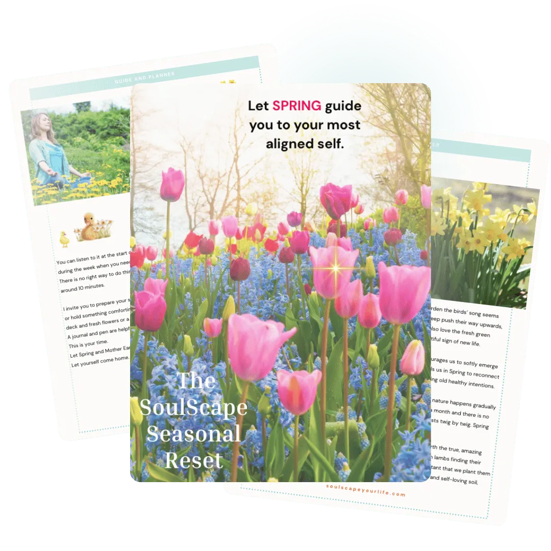 SoulScape Your Life Autumn Reset