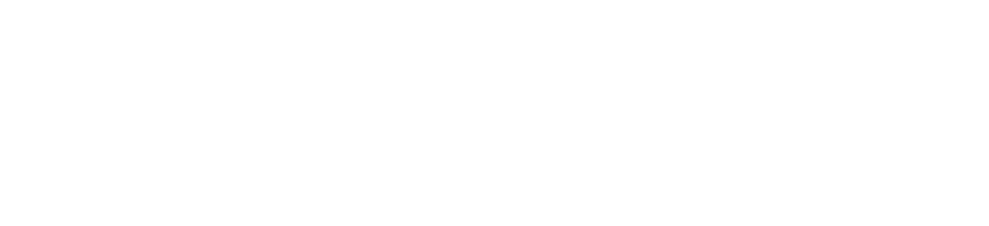 Apollo Beach Pavers Logo