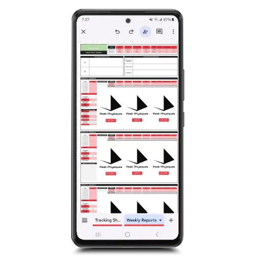 Peak Physiques - Weekly Reporting System