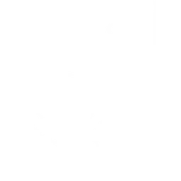 Market Research & Analysis