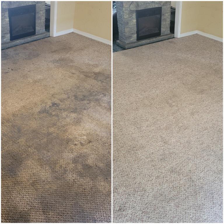 Carpet Cleaning