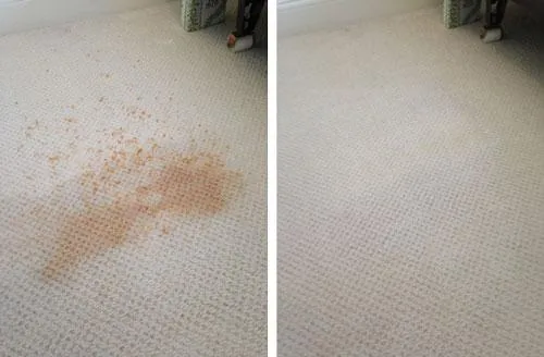 Carpet Cleaning