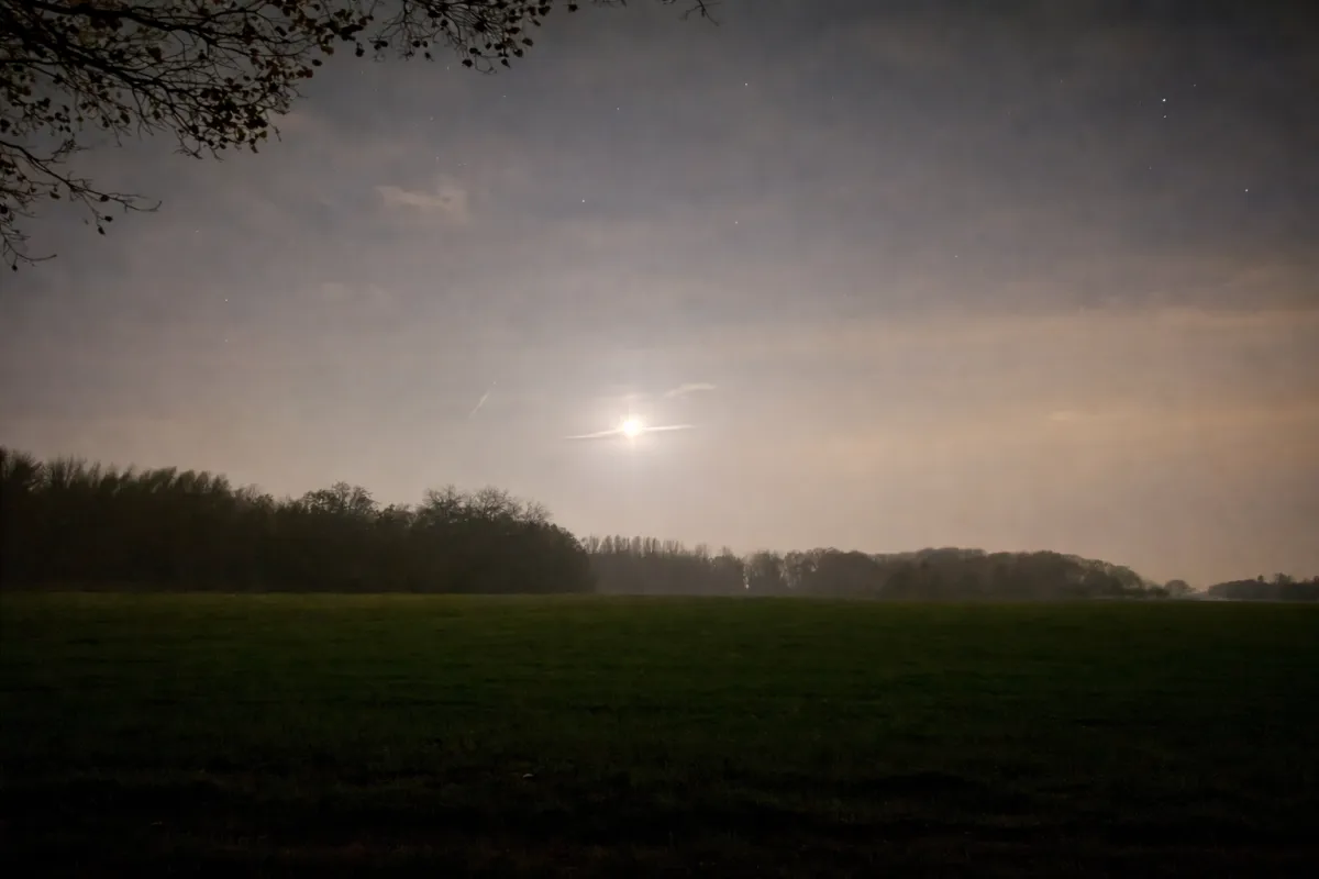 Sjamanistische healing