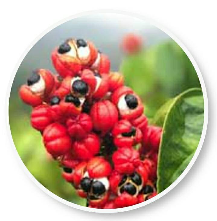 Beliv Guarana ingredients