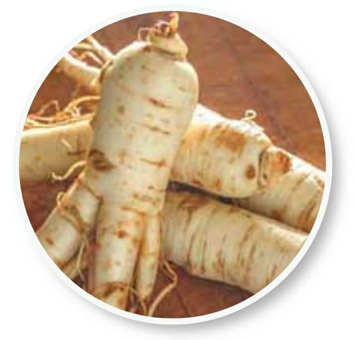 Beliv Ginseng ingredients