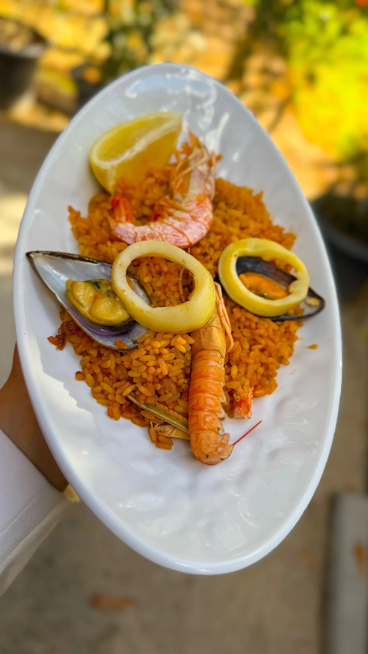 Paella en su punto, nuestra especialidad.