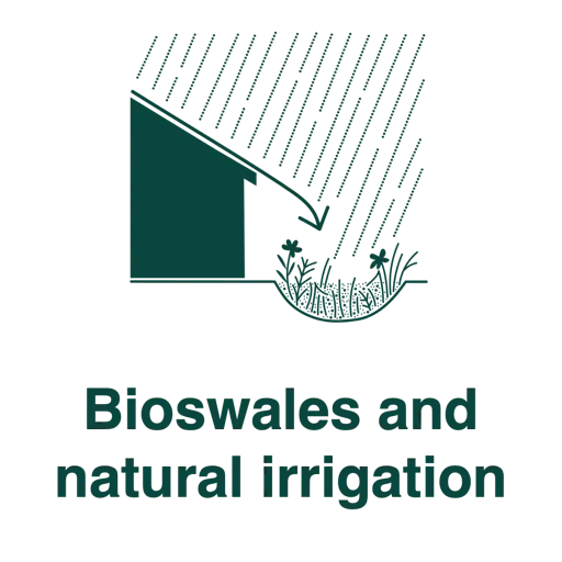 Bioswales and natural irrigation