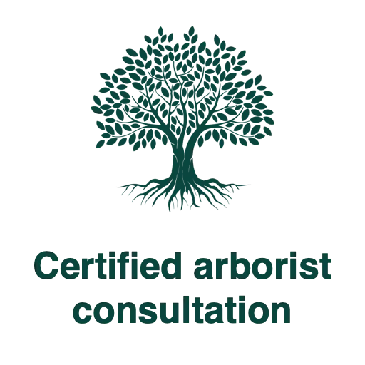 Certified arborist services