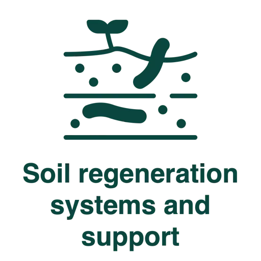 Soil regeneration systems and support