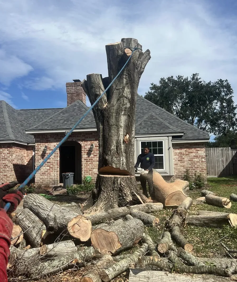 Landscape Contractor in Ventura County