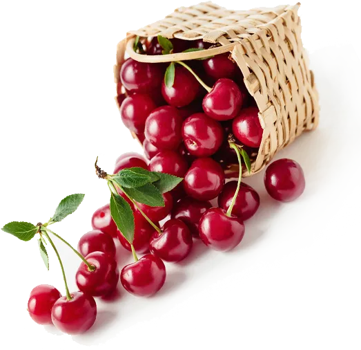 Tart Cherry Extract