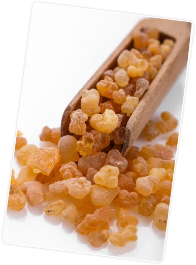 Boswellia Serrata