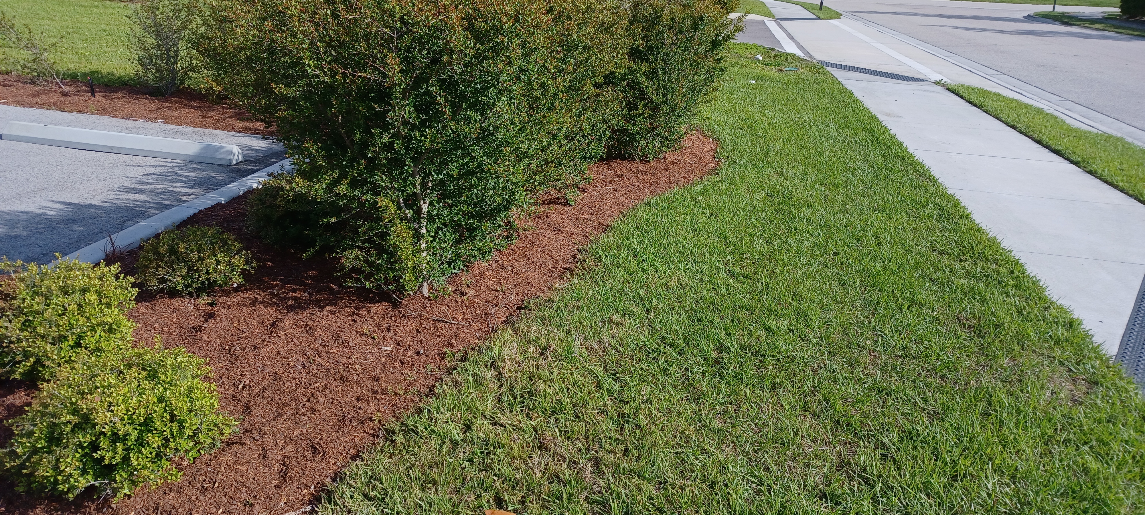 Lawn Edging in Sarasota And Surrounding Areas