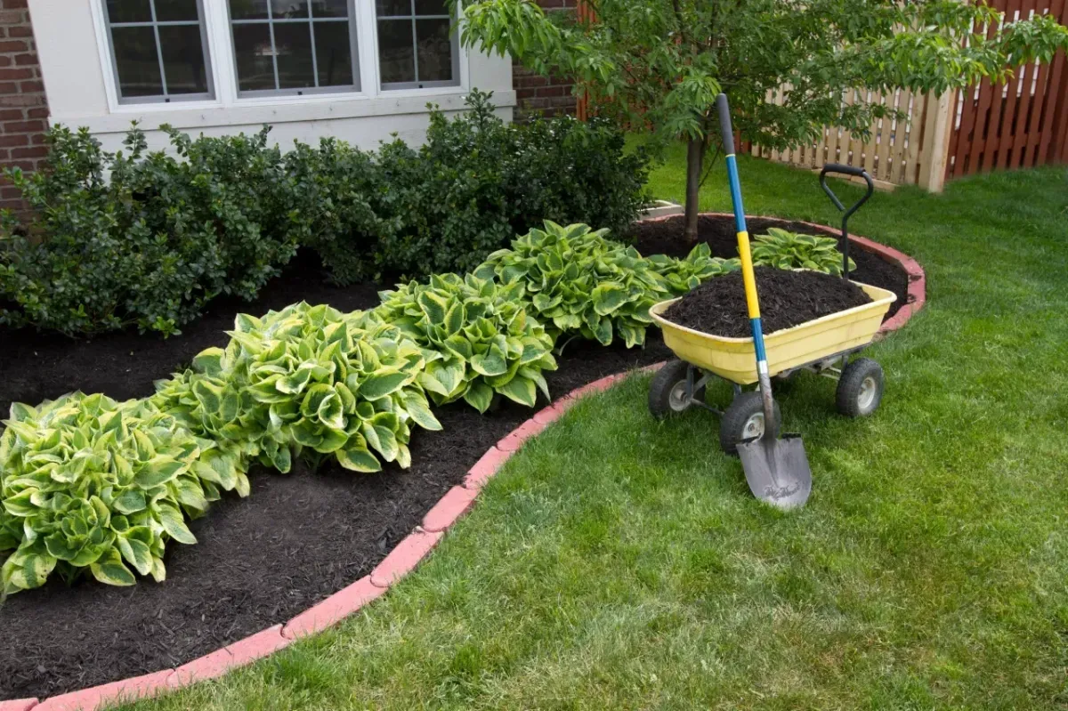 Landscape Installation in Sarasota