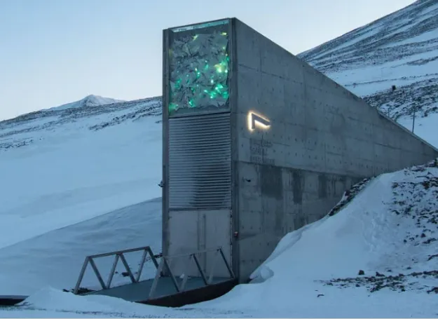global seed vault in the Arctic