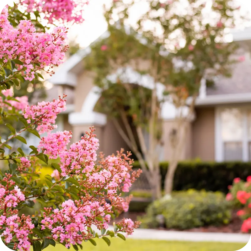 Home exterior with pink flowers promoting the importance of a home inspection in Delaware to find potential issues.