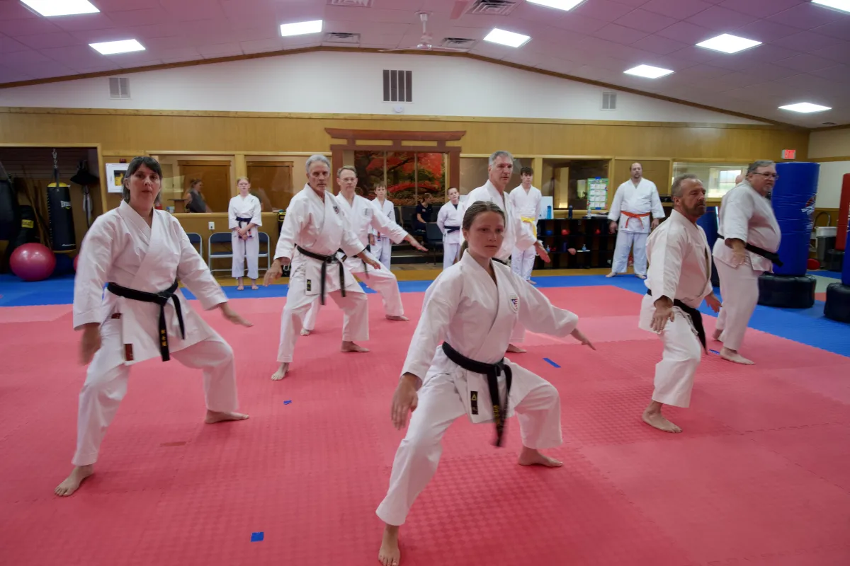 two men performing karate near trees during daytime