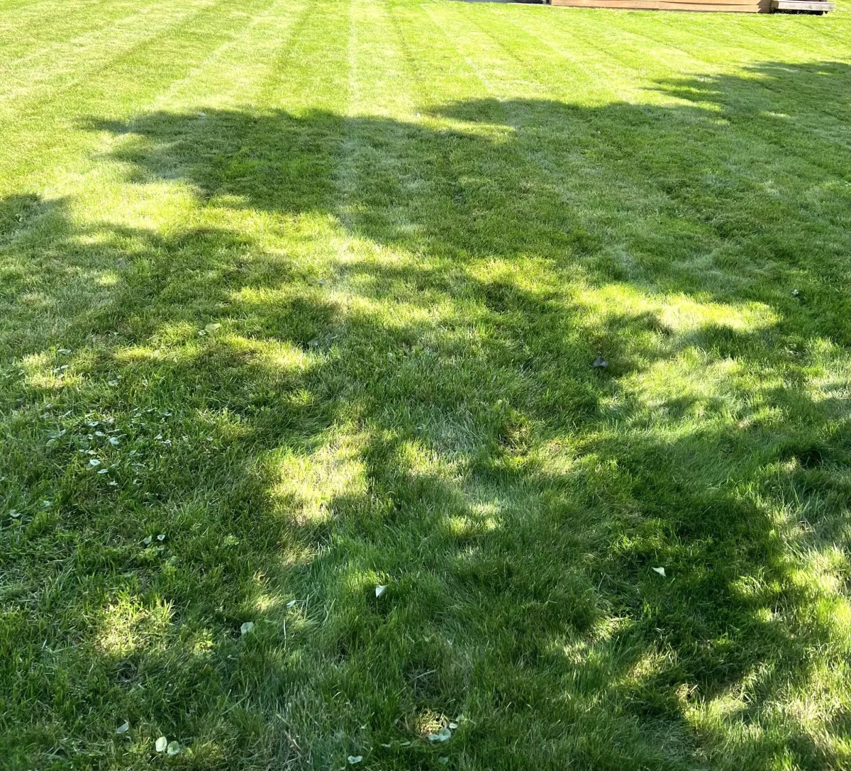 Complete Property Maintenance Guide for Tillsonburg Homeowners: Year-Round Care Tips