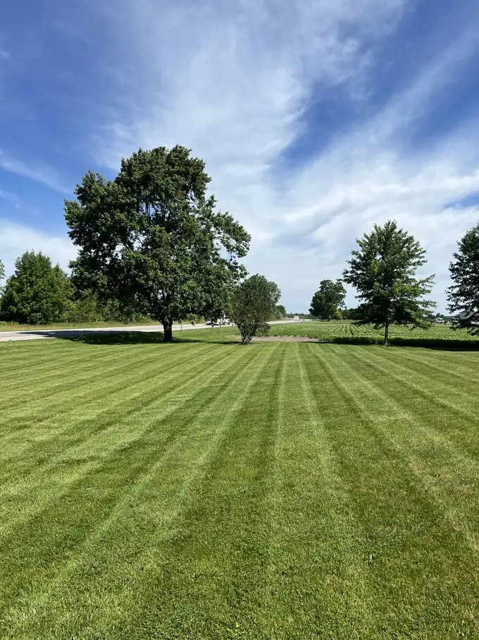 Wide striped lawn with a large shade tree and open farmland behind