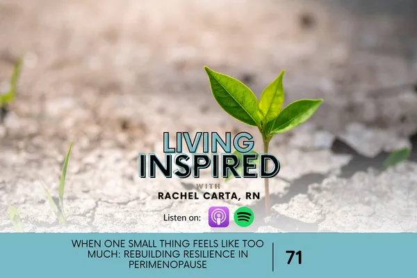 When One Small Thing Feels Like Too Much: Rebuilding Resilience in Perimenopause
