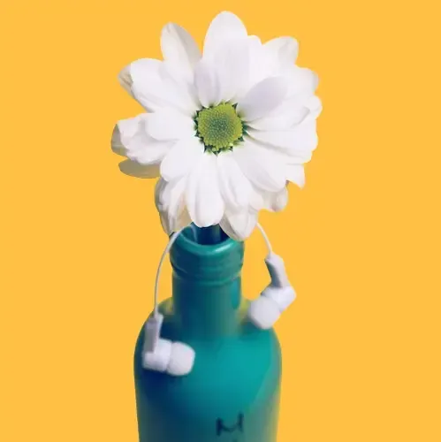 white daisy in a turquoise vase
