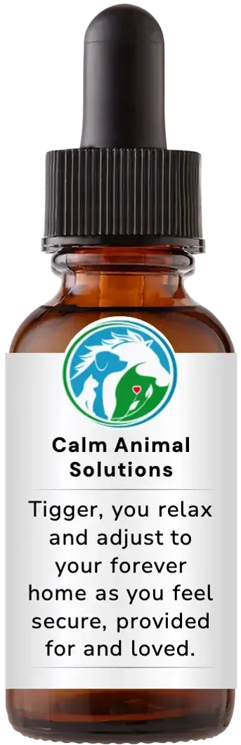 brown dropper bottle with animal communicator Catherine Winfree's Calm Animal Solutions label 