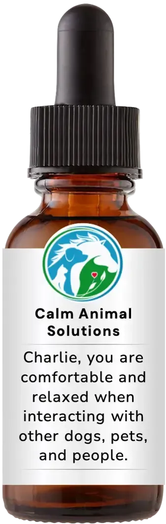 brown dropper bottle with animal communicator Catherine Winfree's Calm Animal Solutions label 