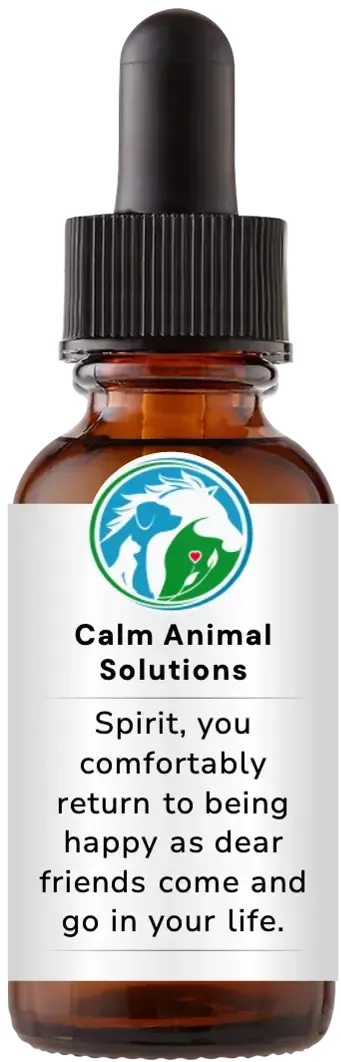 brown dropper bottle with animal communicator Catherine Winfree's Calm Animal Solutions label 