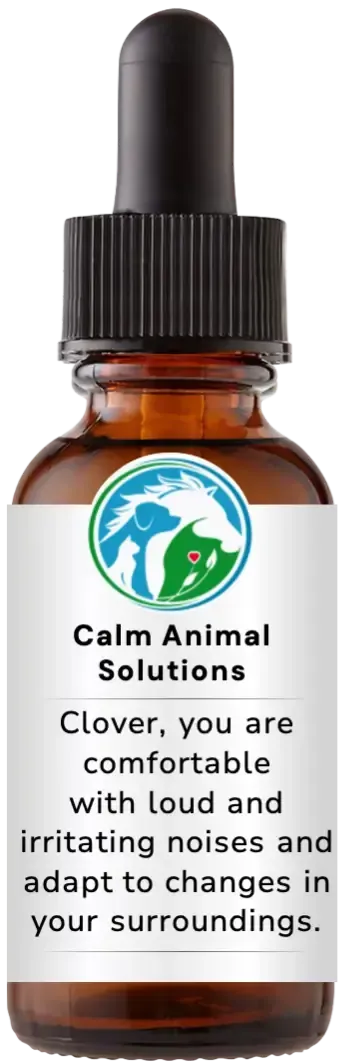 brown dropper bottle with animal communicator Catherine Winfree's Calm Animal Solutions label 